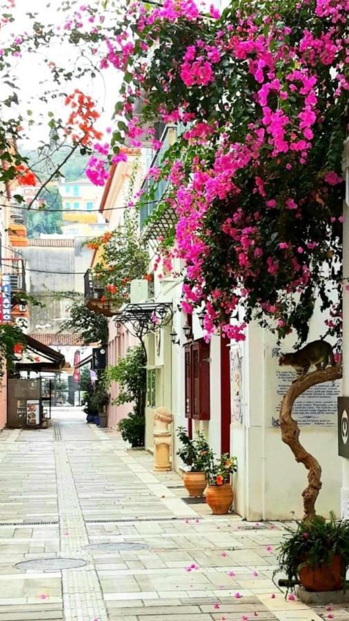 Αυλή Διαμέρισμα Ναύπλιο Εξωτερικό φωτογραφία